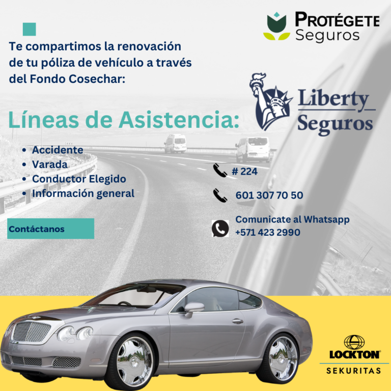 Renovación autos cosechar Liberty