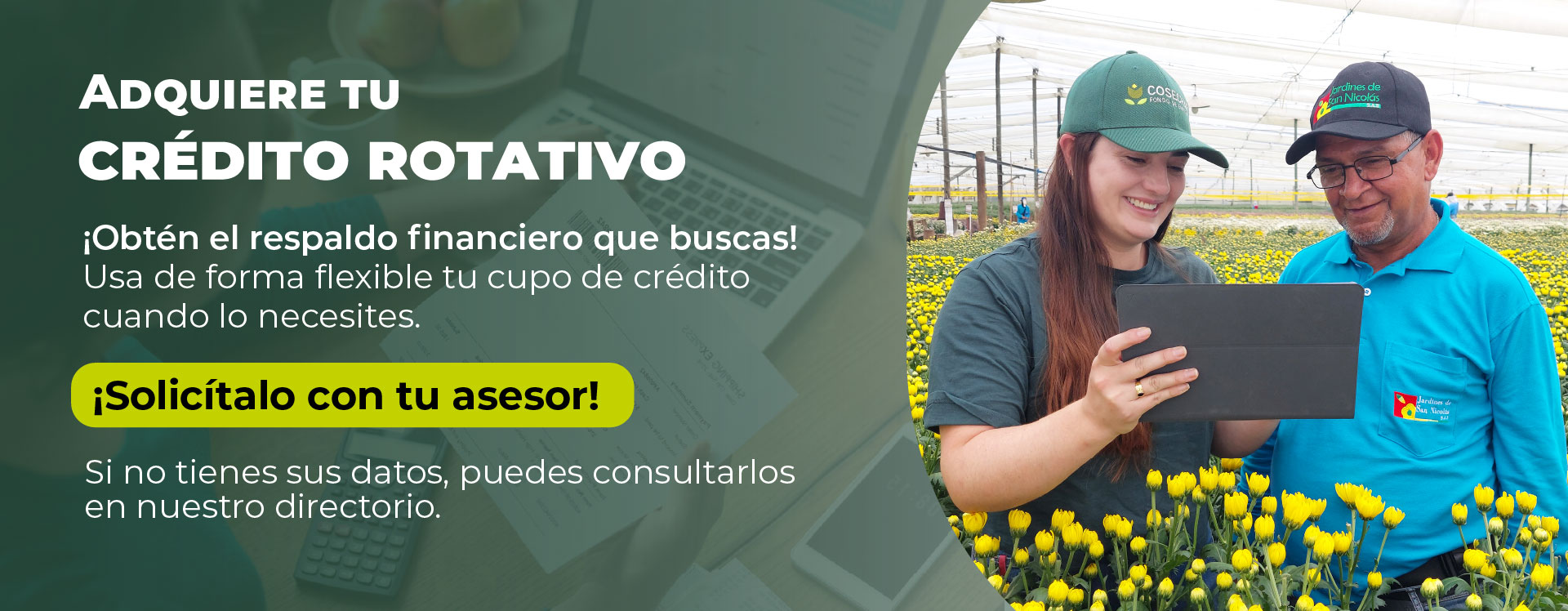 Crédito Rotativo
