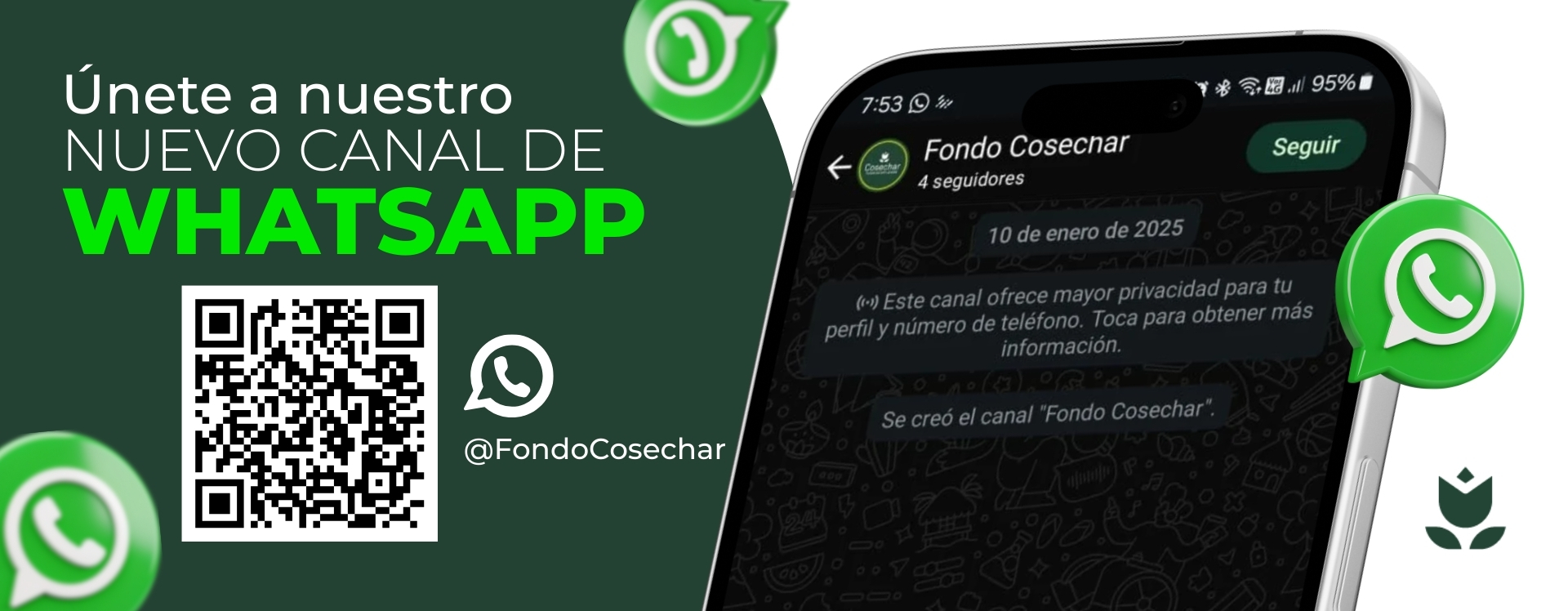 Canal Whatsapp