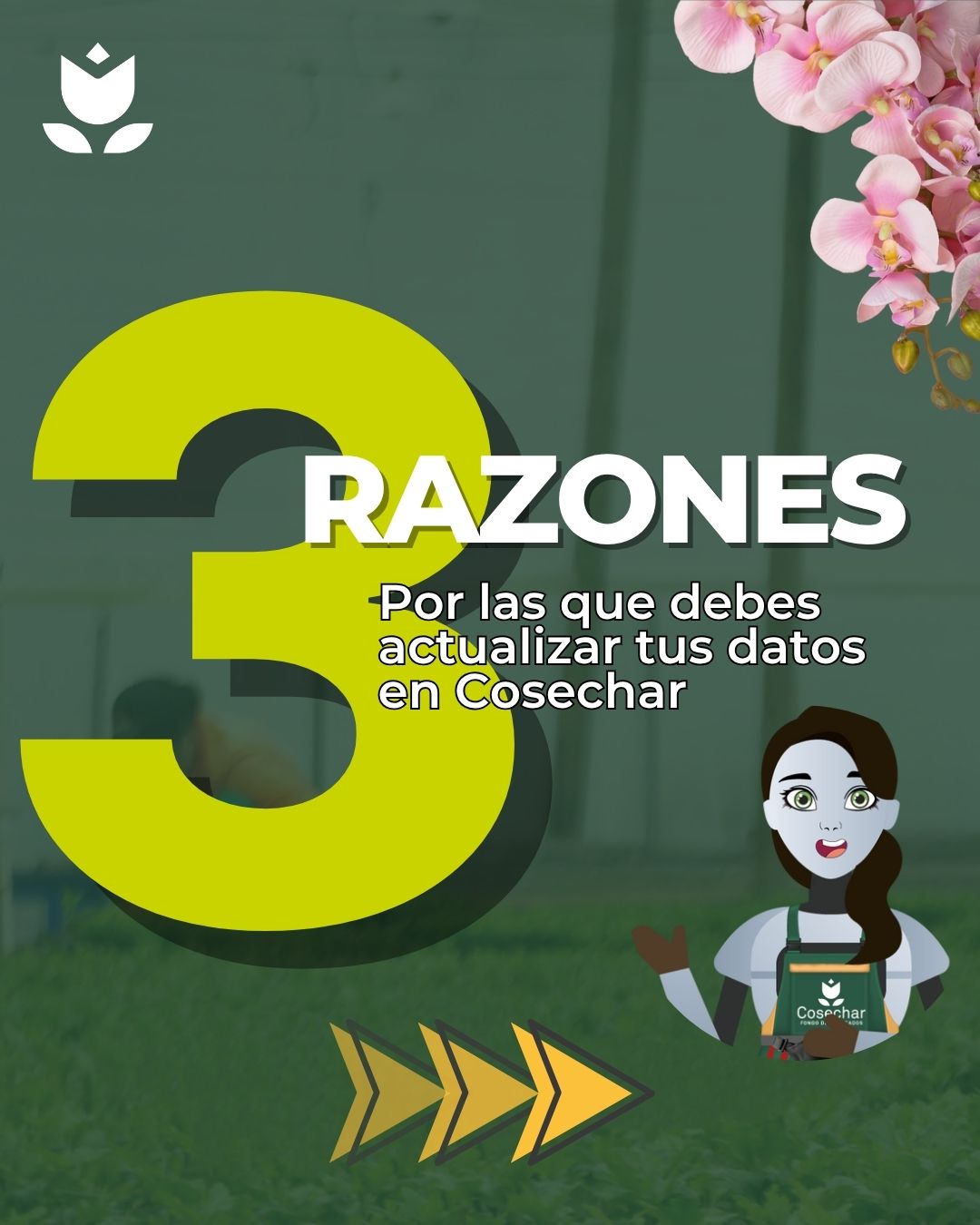 1 Carrusel Razones Actualización