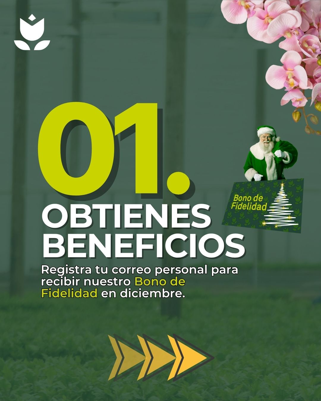 2 Carrusel Razones Actualización