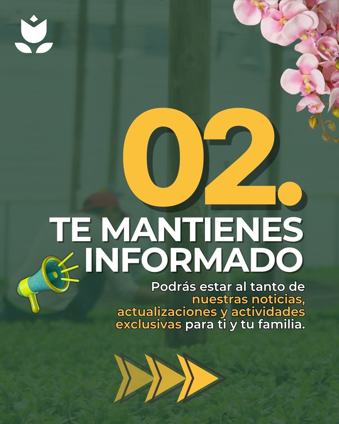 3 Carrusel Razones Actualización