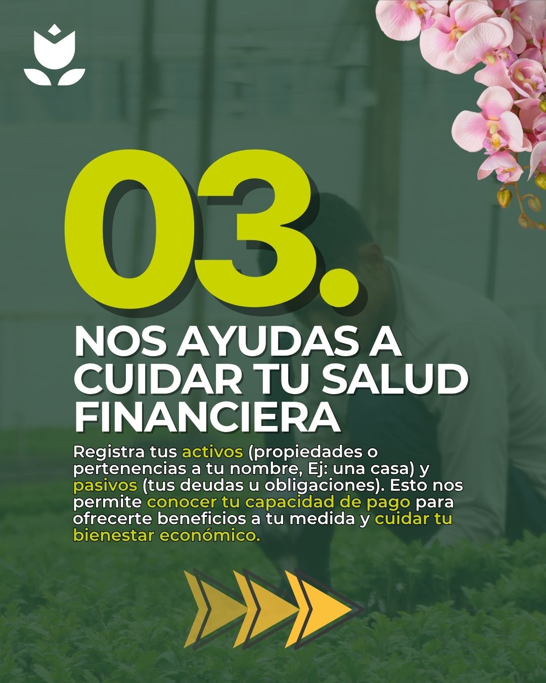 4 Carrusel Razones Actualización