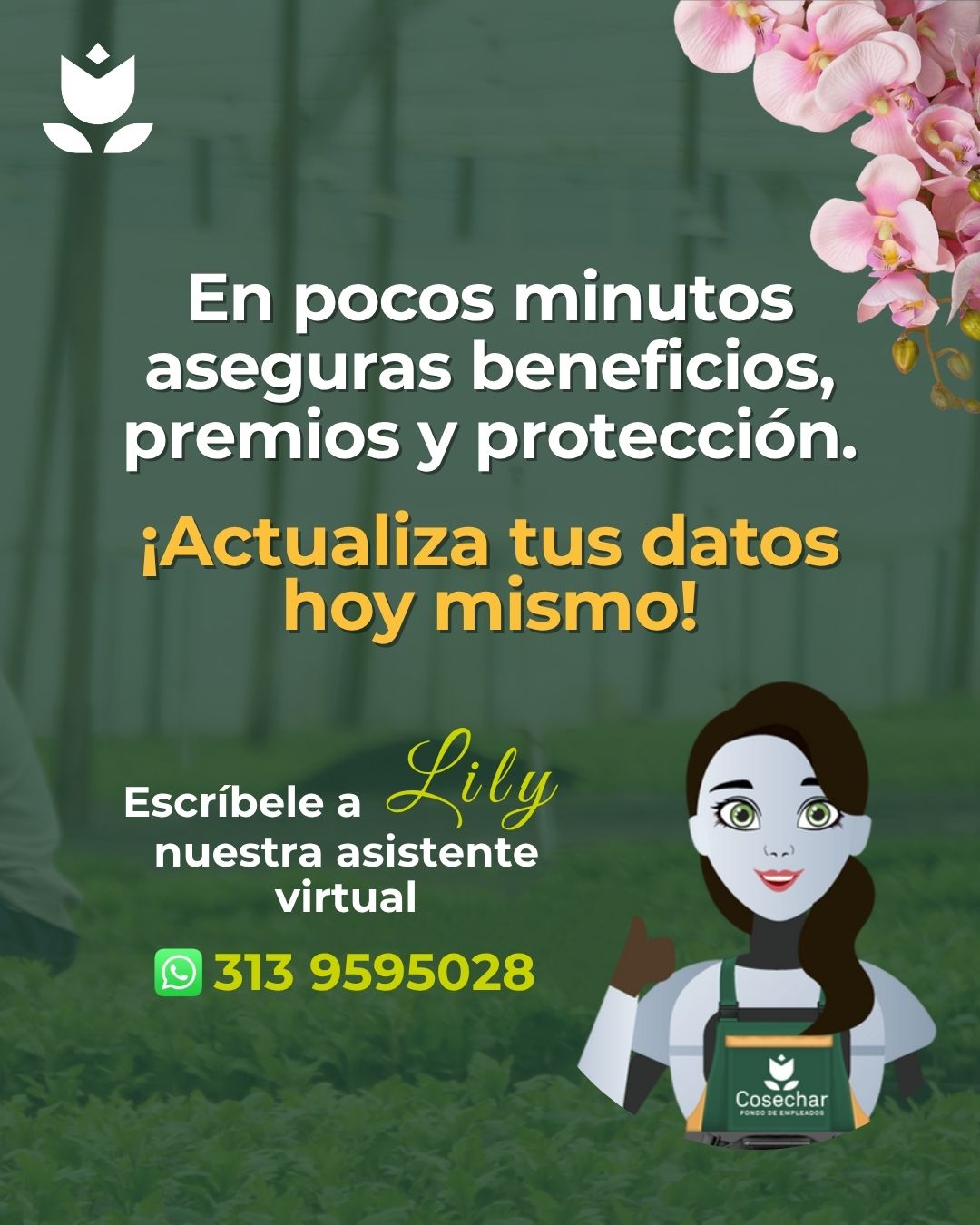 5 Carrusel Razones Actualización