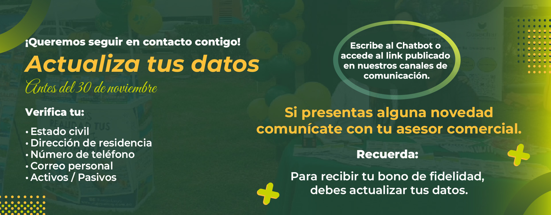 Actualización de Datos