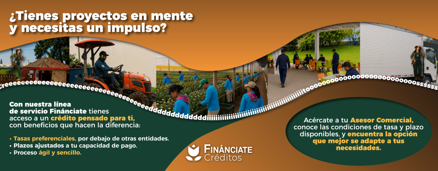 Línea de servicio Finánciate